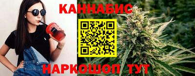 стаф Будённовск