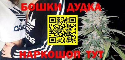 Альфа ПВП Будённовск