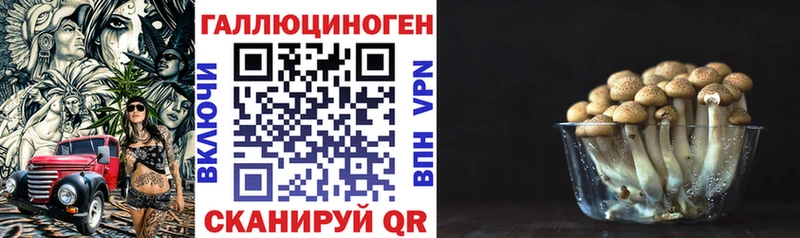 Псилоцибиновые грибы мицелий Воткинск