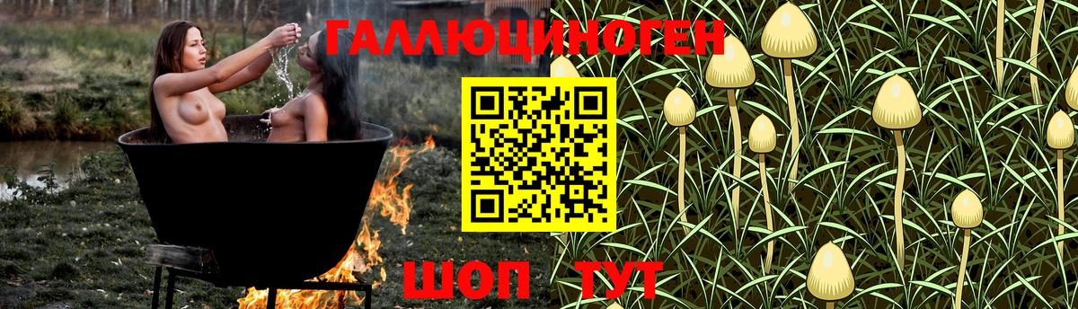 Псилоцибиновые грибы Psilocybine cubensis Воткинск