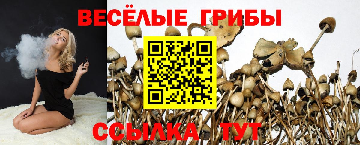 Псилоцибиновые грибы мухоморы Воткинск