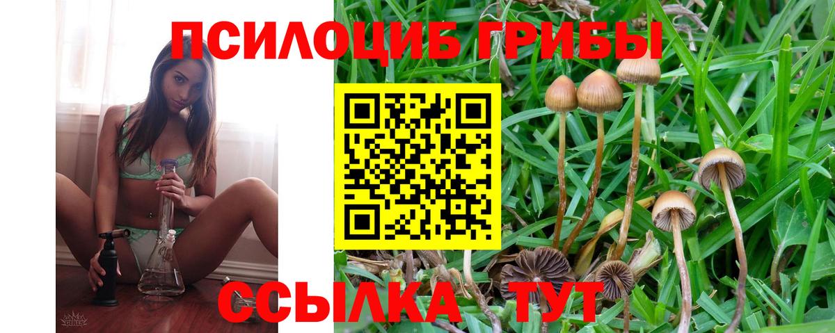 дарнет шоп  Галлюциногенные грибы прущие грибы  Вход с VPN  Воткинск 
